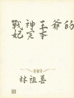 战神王爷的小医妃完本