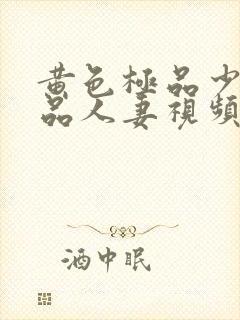 黄色极品少妇精品人妻视频