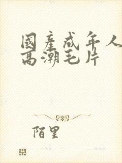 国产成年人午夜高潮毛片