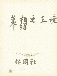 万相之王境界及介绍