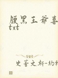 腹黑王爷喜当爹txt封面