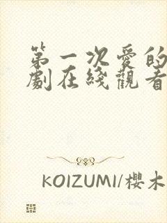 第一次爱的人韩剧在线观看全集免费高清