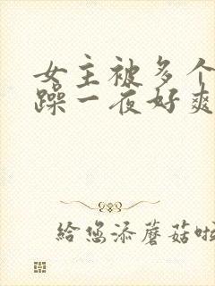 女主被多个男人躁一夜好爽小说