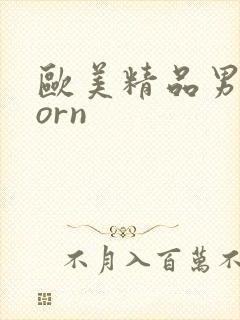 欧美精品男同porn封面