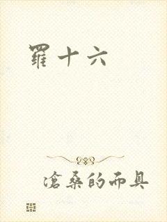 罗十六
