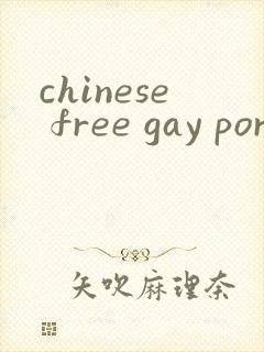 chinese free gay porn