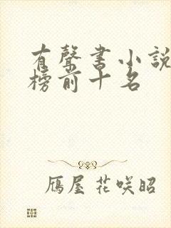 有声书小说排行榜前十名封面