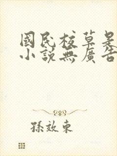 国民校草是女生小说无广告封面