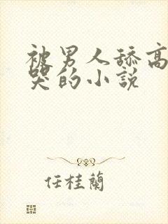 被男人舔高潮的哭的小说