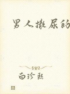 男人撒尿的视频