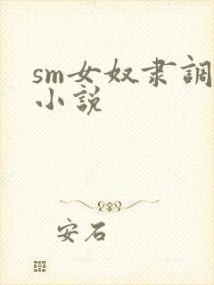 sm女奴隶调教小说封面