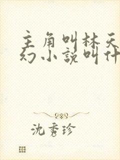 主角叫林天的玄幻小说叫什么名字