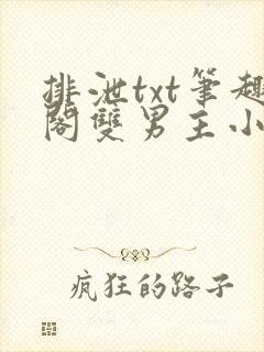 排泄txt笔趣阁双男主小说