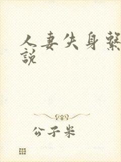 人妻失身系列小说封面