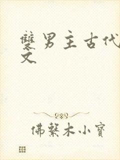 双男主古代生子文