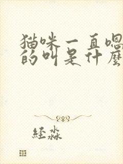 猫咪一直嗯嗯嗯的叫是什么意思