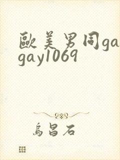 欧美男同gaygay1069