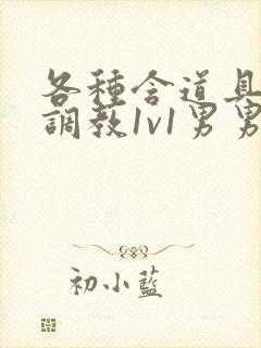 各种含道具高h调教1v1男男