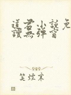 道君小说免费阅读无弹窗