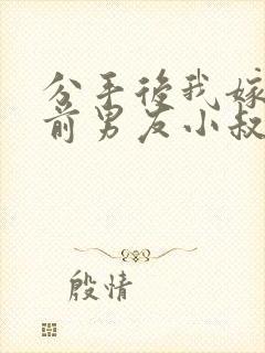 分手后我嫁给了前男友小叔封面