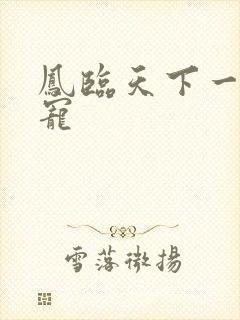 凤临天下一后千宠