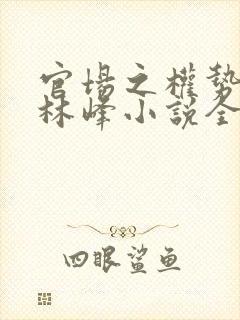 官场之权势滔天林峰小说全部章节