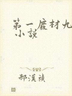 第一废材九小姐 小说