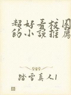 超好看校园言情的小说推荐