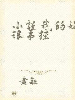 小说 我的姐姐很弟控