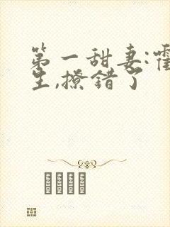 第一甜妻:霍先生,撩错了