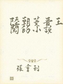 陆朝菱晋王周时阅的小说封面