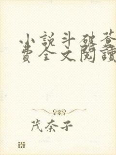 小说斗破苍穹免费全文阅读一封面