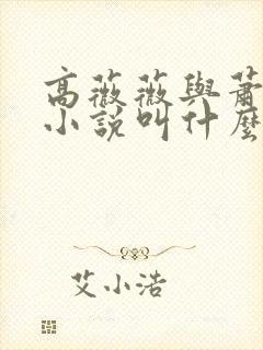 高薇薇与萧天策小说叫什么名字封面