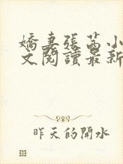 娇妻张茜小说全文阅读最新章节更新