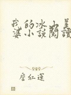 我的冰山美女老婆小说阅读无弹窗封面
