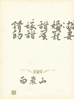 错嫁甜婚:总裁的甜蜜宠妻