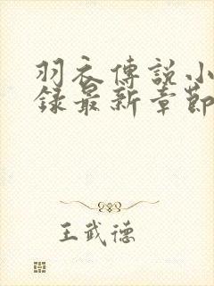 羽衣传说小说目录最新章节免费阅读封面