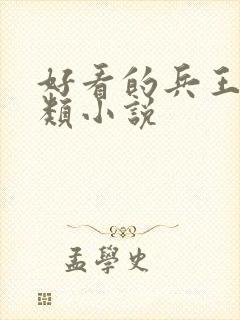 好看的兵王都市类小说