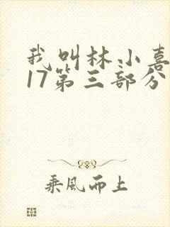 我叫林小喜今年17第三部分封面