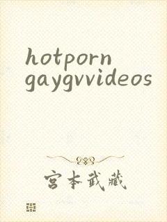 hotporngaygvvideos