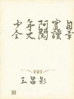 少年阿宾目录及全文阅读章节