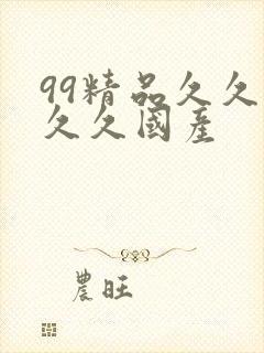 99精品久久久久久国产