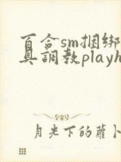 百合sm捆绑道具调教playh封面