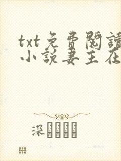 txt免费阅读小说妻主在上