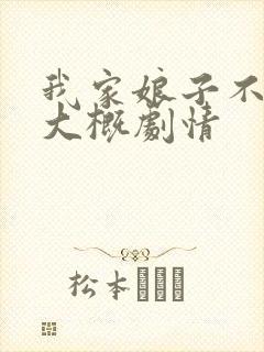 我家娘子不对劲大概剧情封面