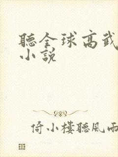 听全球高武有声小说