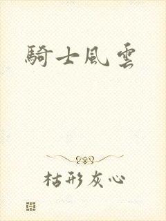 骑士风云