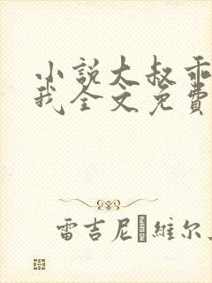 小说大叔乖乖宠我全文免费阅读