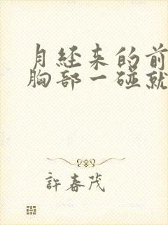 月经来的前几天胸部一碰就疼