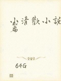 小清欢小说番外篇